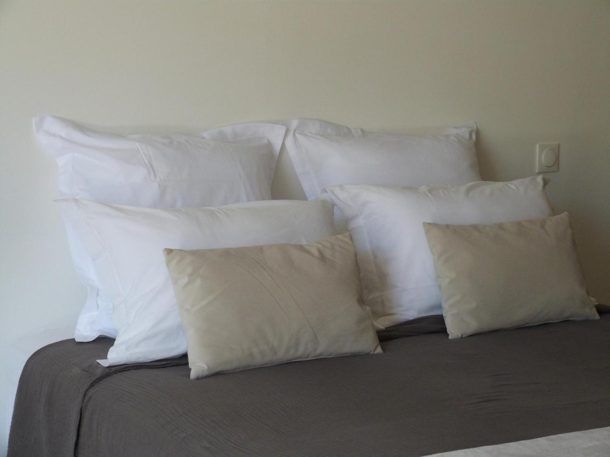 Chambres D'Hotes Le Plassalou Esclauzels Esterno foto